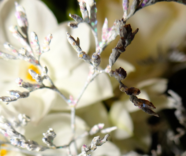 boutique-4