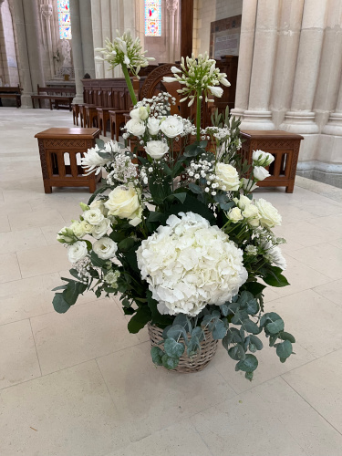 compos autel5-acquaverde-fleurs