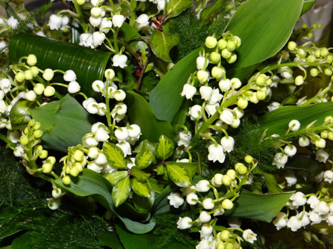 1er mai - 2