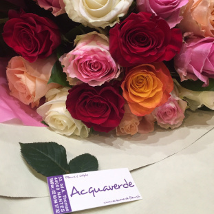 magasin1-acquaverde-fleurs