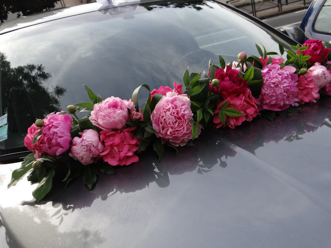 voiture3acquaverde-fleurs